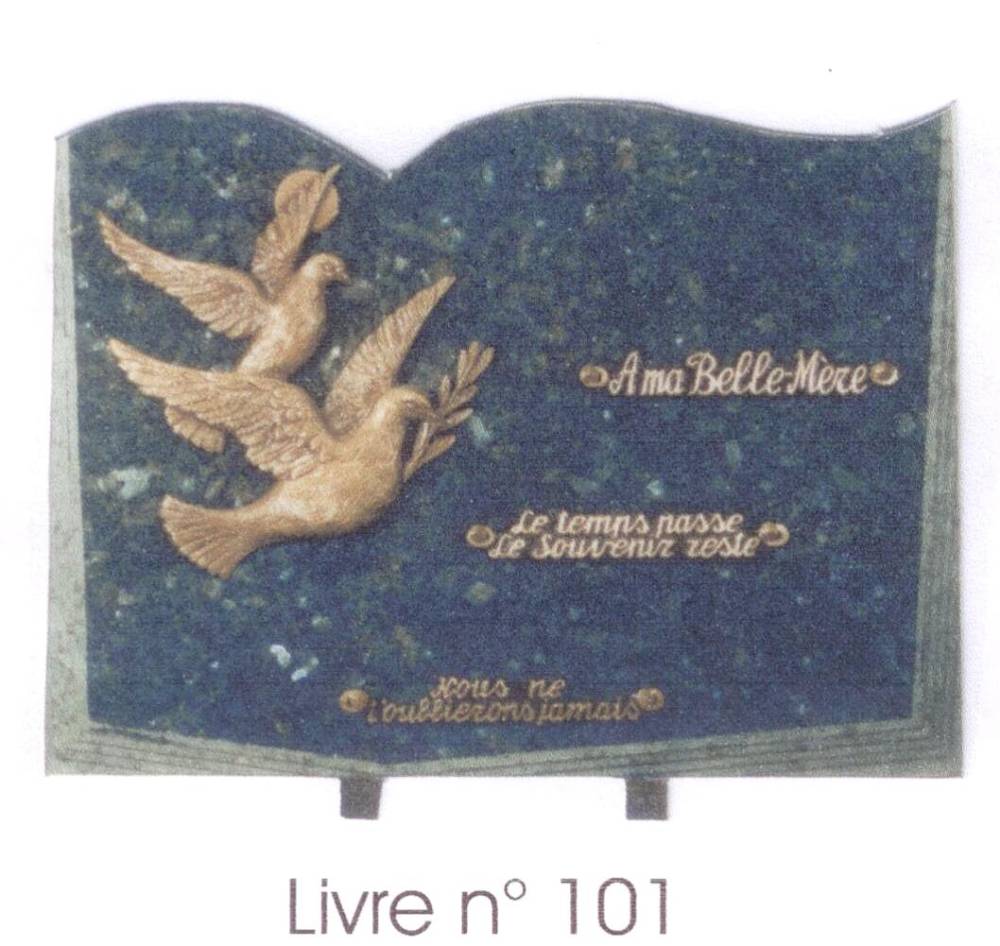 livre 101
